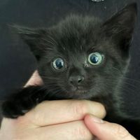 Sebastian Munck Rasmussen